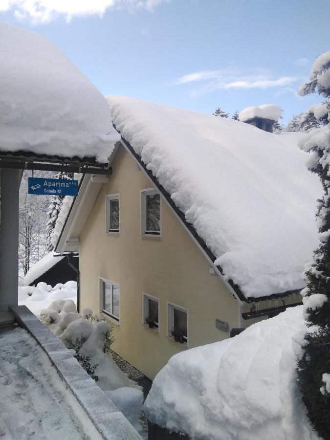 Apartments Irena Kranjska Gora Zewnętrze zdjęcie