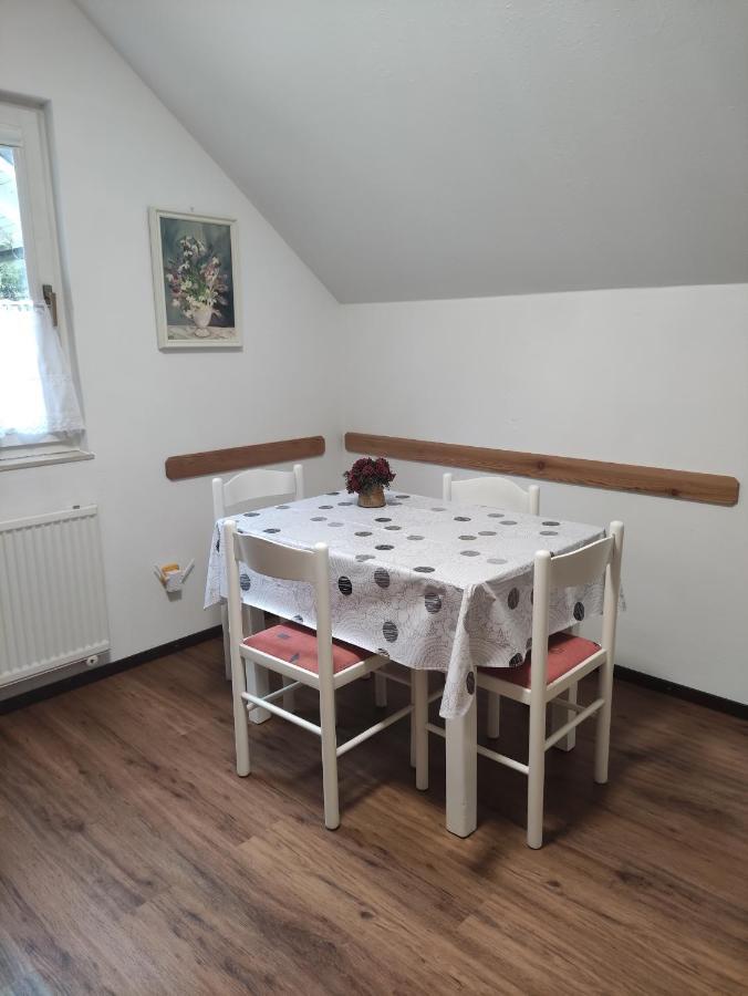 Apartments Irena Kranjska Gora Zewnętrze zdjęcie